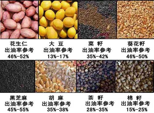 雙象榨油機(jī)出油率